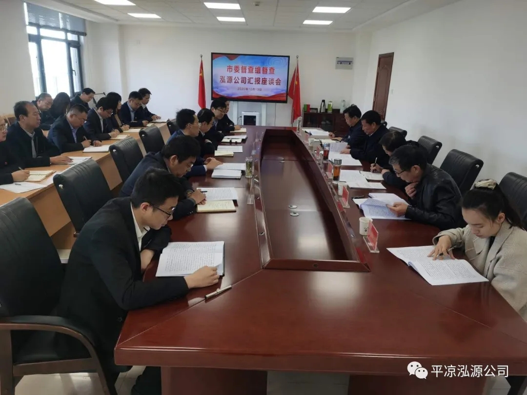 市委辦公室、市政府國資委督查泓源公司工作(圖4)
